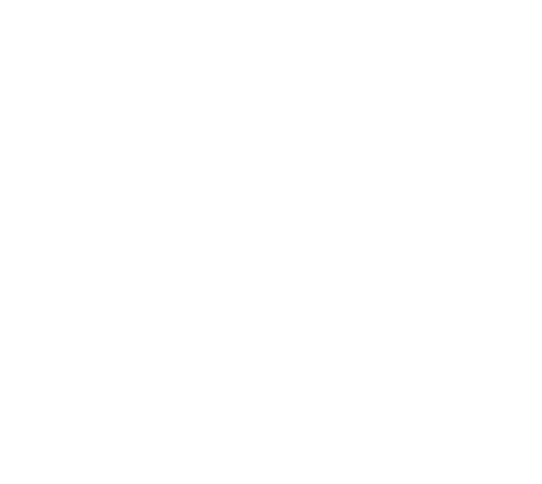 JIN & PARTNERS